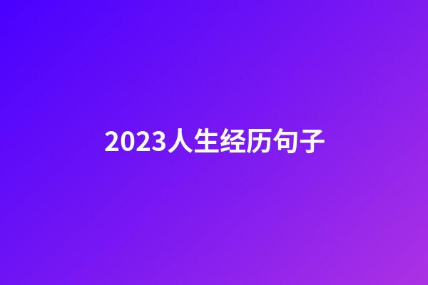 2023人生经历句子