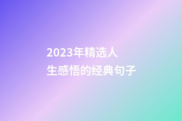 2023年精选人生感悟的经典句子