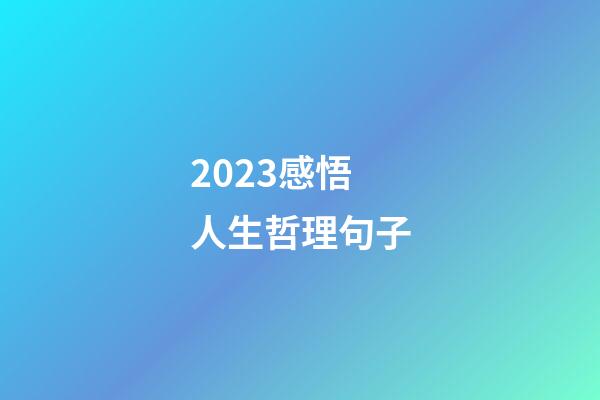 2023感悟人生哲理句子