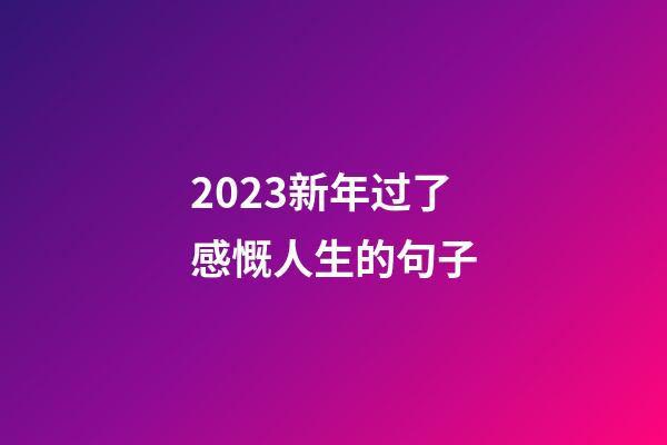 2023新年过了感慨人生的句子