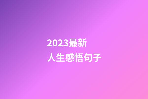 2023最新人生感悟句子