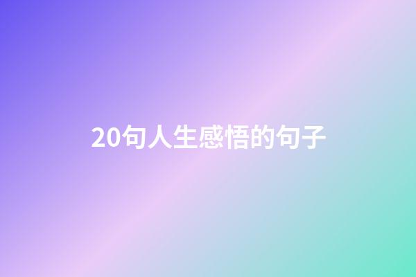 20句人生感悟的句子