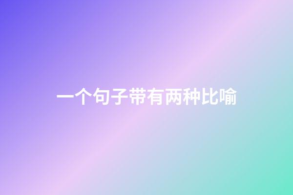 一个句子带有两种比喻