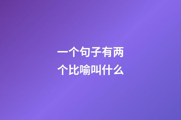 一个句子有两个比喻叫什么