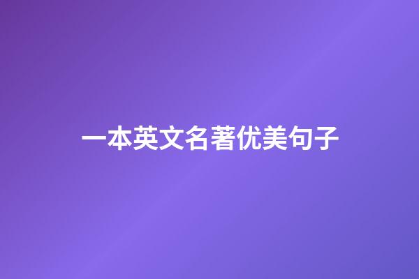 一本英文名著优美句子