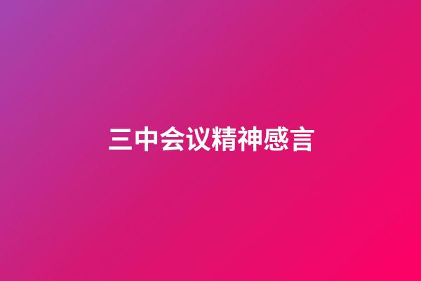 三中会议精神感言