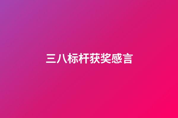 三八标杆获奖感言