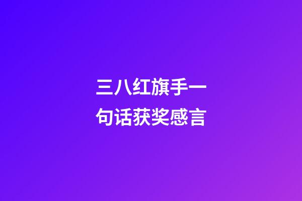 三八红旗手一句话获奖感言