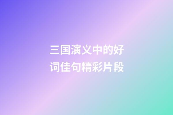 三国演义中的好词佳句精彩片段