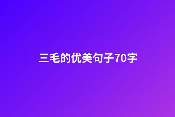 三毛的优美句子70字