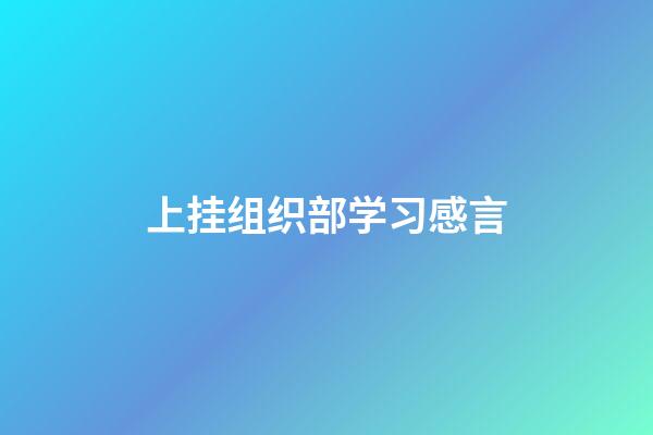 上挂组织部学习感言