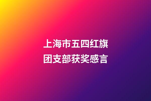 上海市五四红旗团支部获奖感言