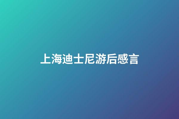 上海迪士尼游后感言