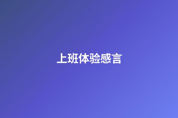 上班体验感言