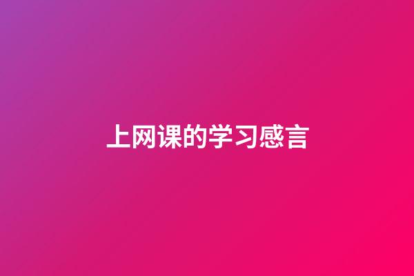 上网课的学习感言