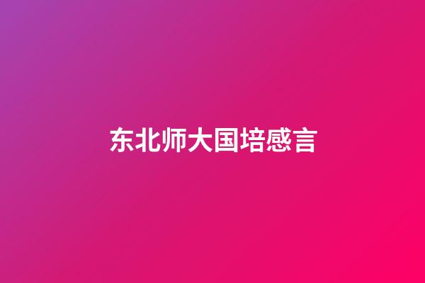 东北师大国培感言