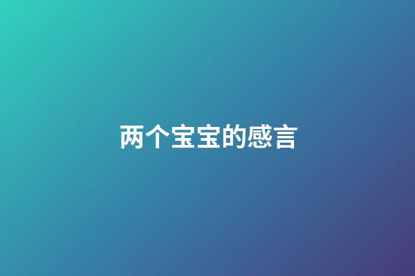 两个宝宝的感言