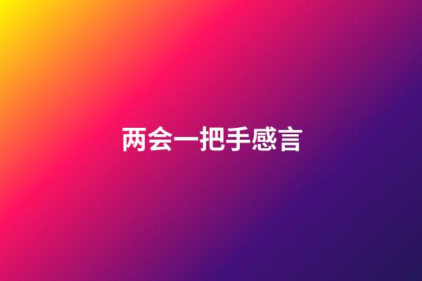 两会一把手感言