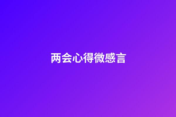 两会心得微感言