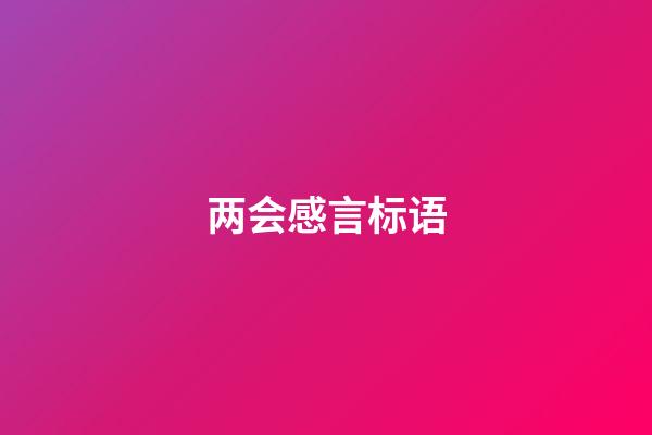 两会感言标语