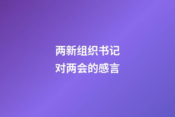 两新组织书记对两会的感言