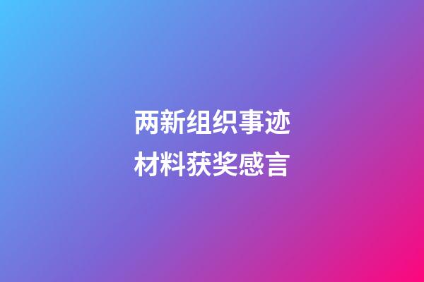 两新组织事迹材料获奖感言