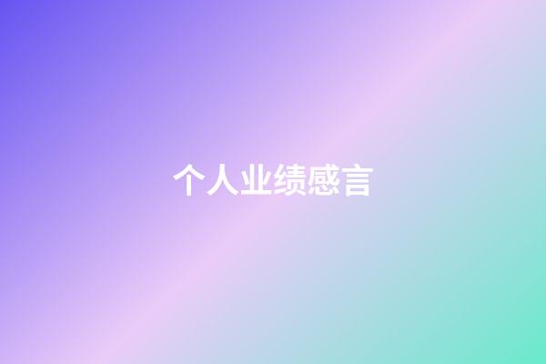 个人业绩感言