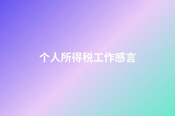 个人所得税工作感言