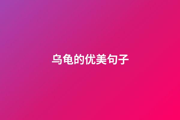 乌龟的优美句子