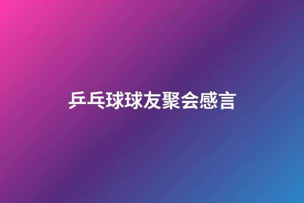 乒乓球球友聚会感言