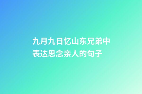 九月九日忆山东兄弟中表达思念亲人的句子