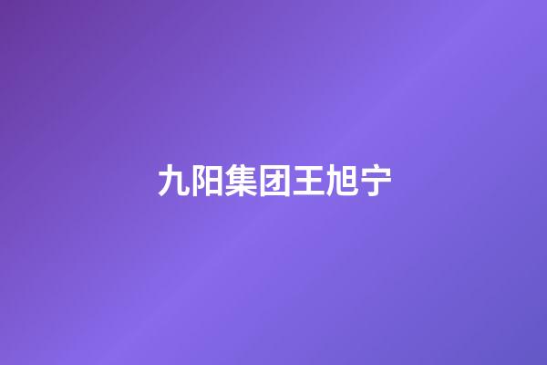 九阳集团王旭宁