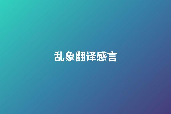 乱象翻译感言