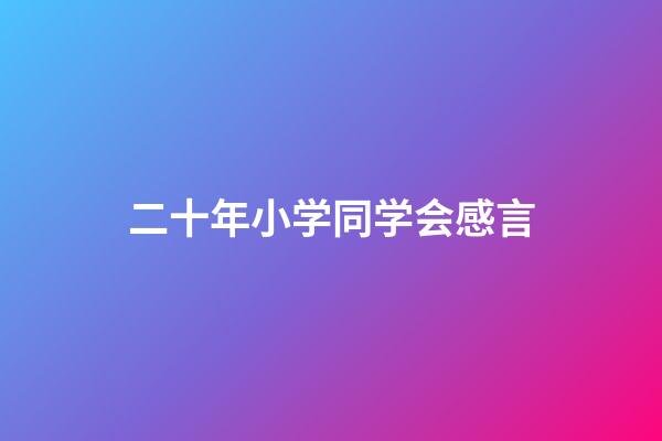 二十年小学同学会感言