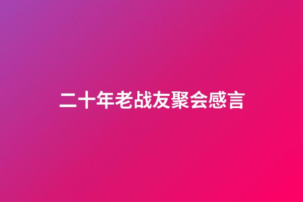 二十年老战友聚会感言