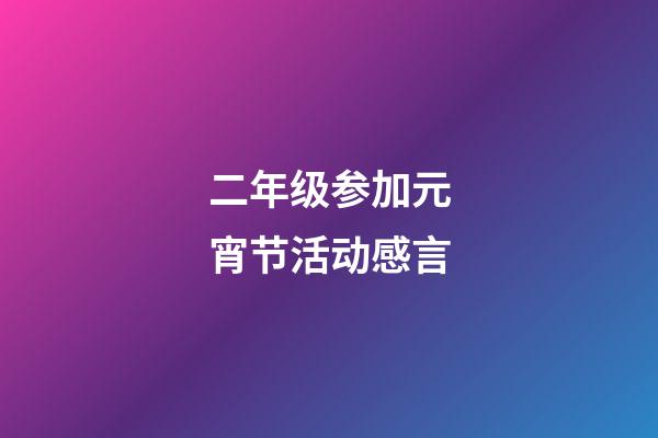 二年级参加元宵节活动感言