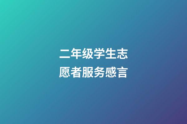 二年级学生志愿者服务感言