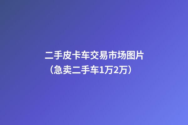 二手皮卡车交易市场图片（急卖二手车1万2万）