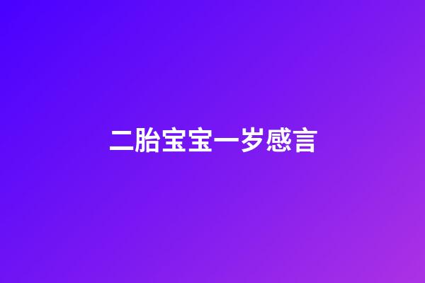 二胎宝宝一岁感言