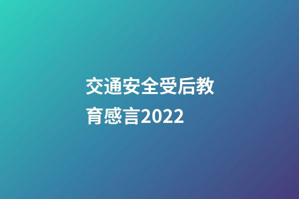 交通安全受后教育感言2022