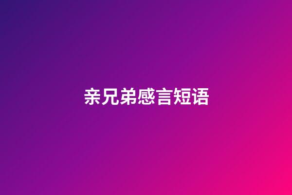 亲兄弟感言短语