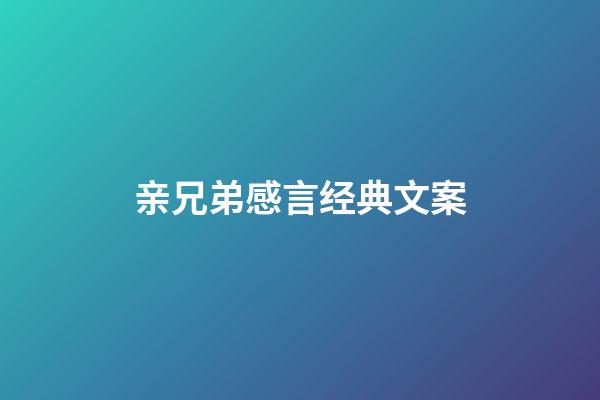 亲兄弟感言经典文案