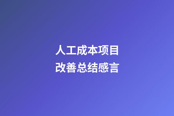 人工成本项目改善总结感言