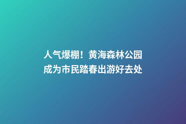 人气爆棚！黄海森林公园成为市民踏春出游好去处