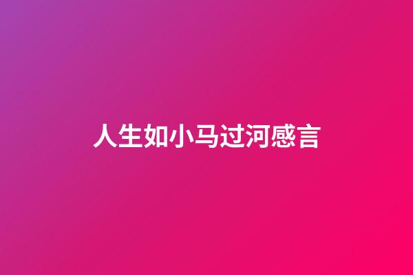 人生如小马过河感言