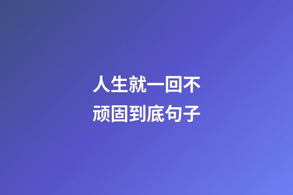 人生就一回不顽固到底句子