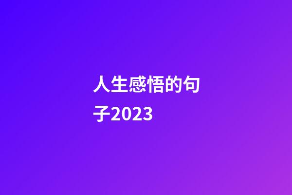 人生感悟的句子2023