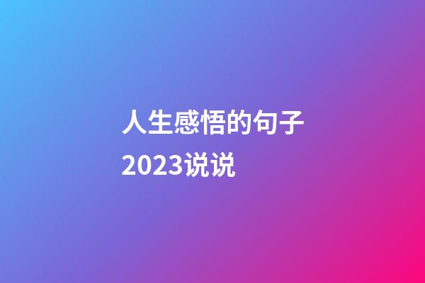 人生感悟的句子2023说说