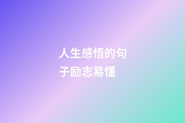 人生感悟的句子励志易懂