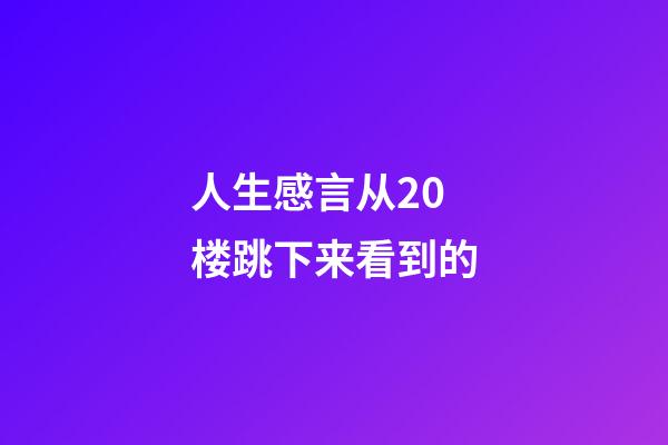 人生感言从20楼跳下来看到的